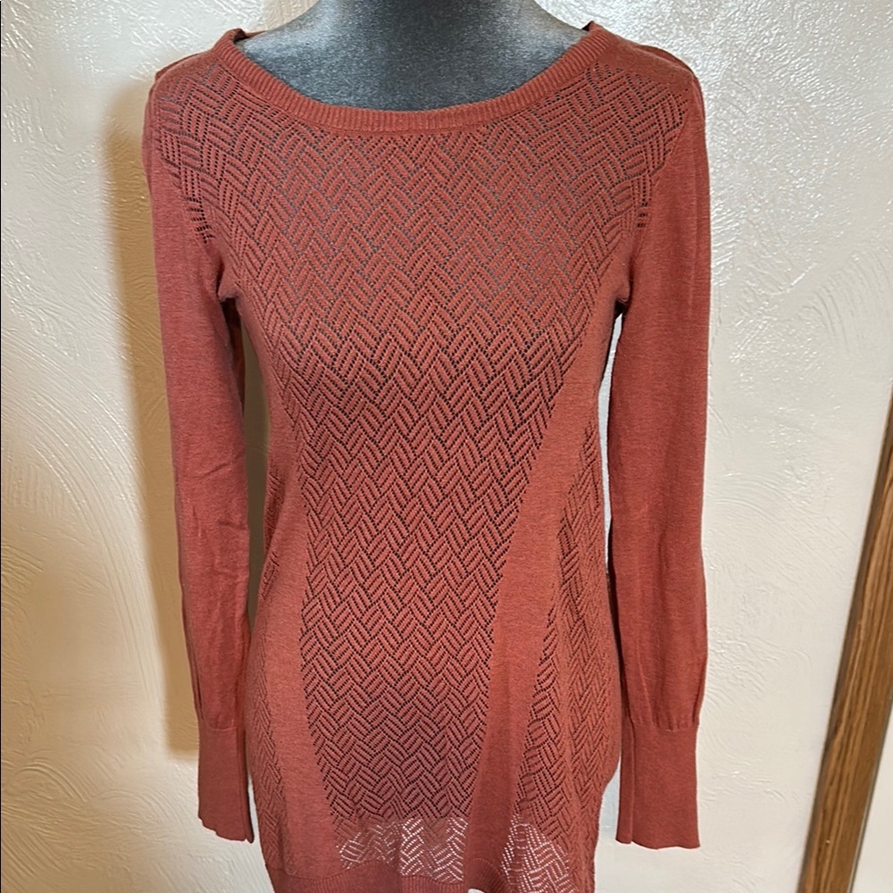 Shrinking Violet Rust Sweater